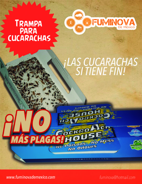 trampa para cucarachas